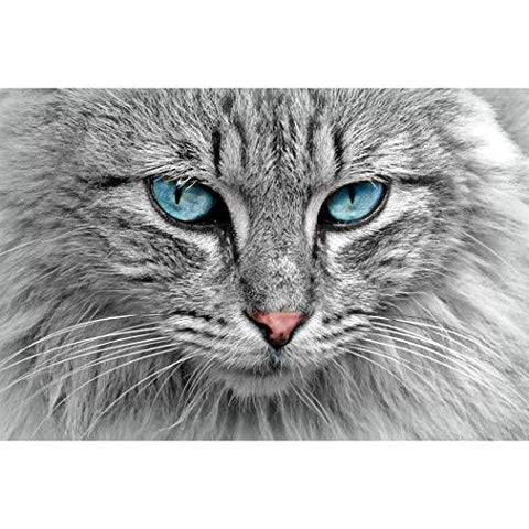 Cat's Eyes Gaze from The Cat - jigsawdepot